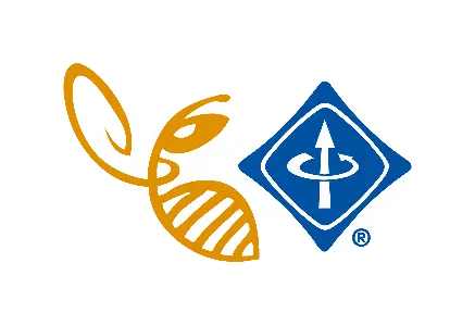 ieee-Bordeaux